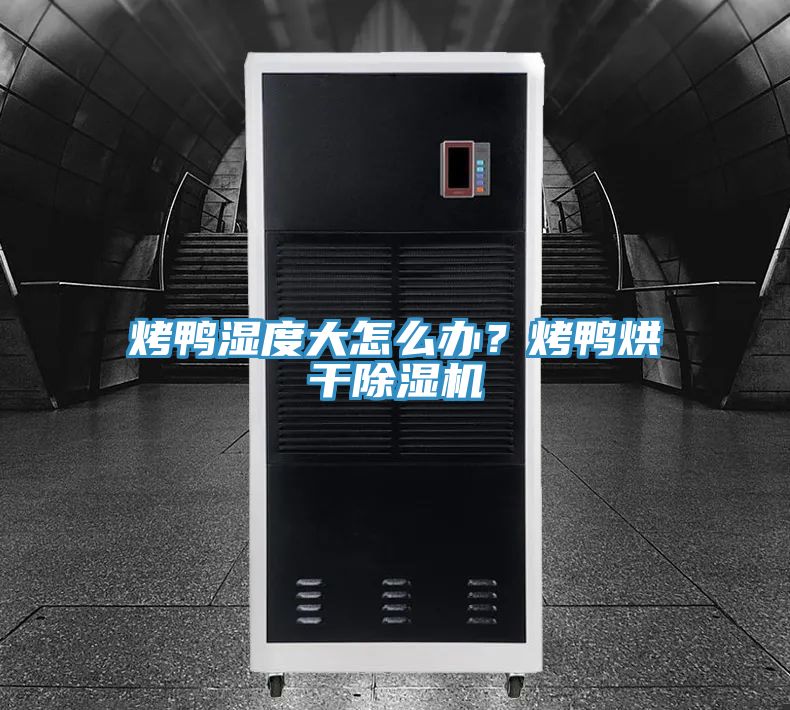 烤鸭湿度大怎么办？烤鸭烘干除湿机