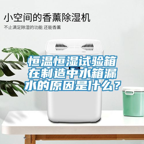 恒温恒湿试验箱在制造中水箱漏水的原因是什么？