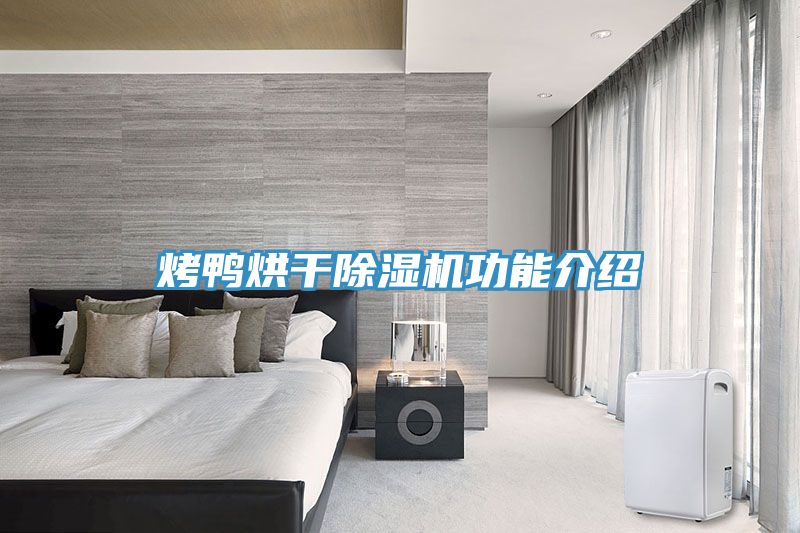 烤鸭烘干除湿机功能介绍