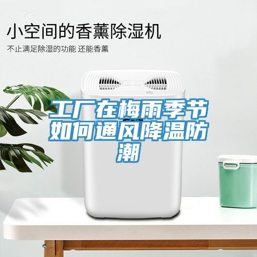 工厂在梅雨季节如何通风降温防潮