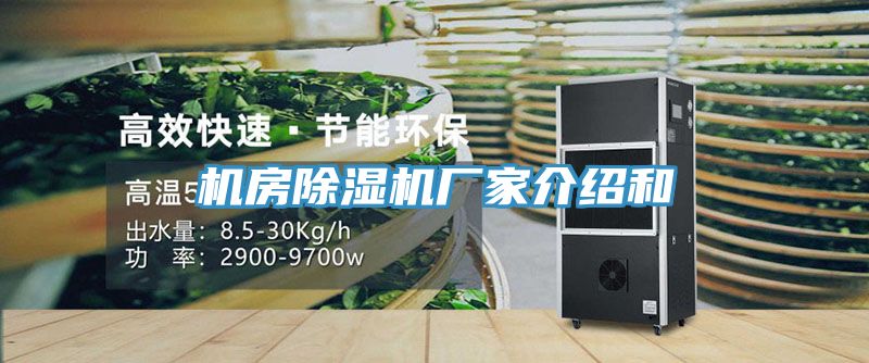 机房除湿机厂家介绍和