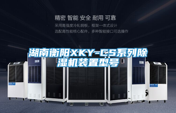湖南衡阳XKY-CS系列除湿机装置型号