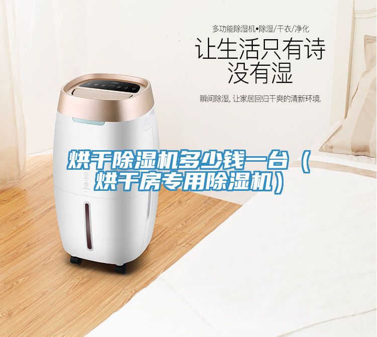 烘干除湿机多少钱一台（烘干房专用除湿机）
