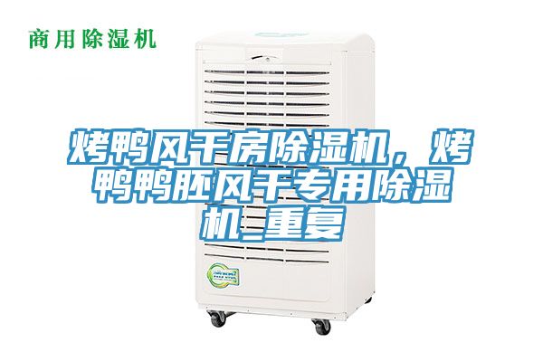 烤鸭风干房除湿机，烤鸭鸭胚风干专用除湿机_重复