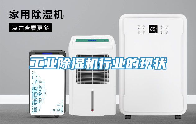 工业除湿机行业的现状