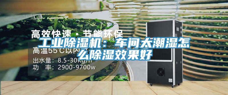 工业除湿机：车间太潮湿怎么除湿效果好