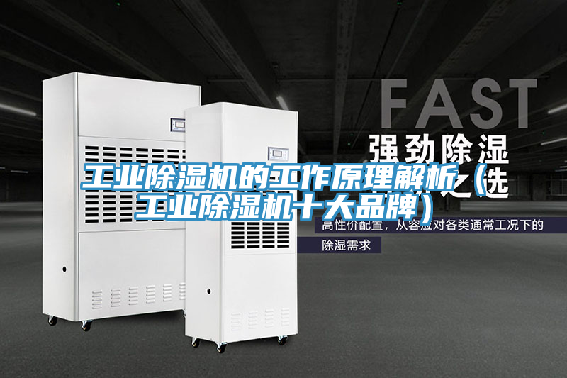 工业除湿机的工作原理解析（工业除湿机十大品牌）