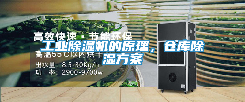 工业除湿机的原理，仓库除湿方案