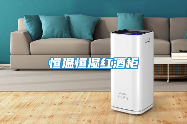 恒温恒湿红酒柜