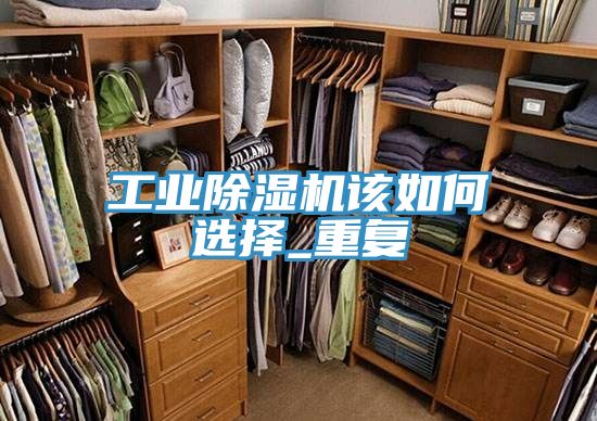 工业除湿机该如何选择_重复