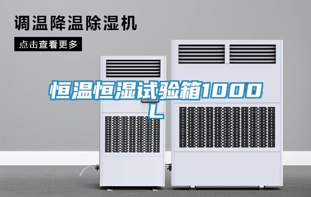 恒温恒湿试验箱1000L