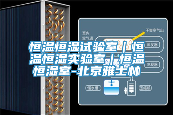 恒温恒湿试验室｜恒温恒湿实验室｜恒温恒湿室-北京雅士林