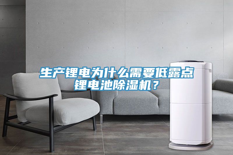 生产锂电为什么需要低露点锂电池除湿机？