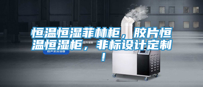 恒温恒湿菲林柜，胶片恒温恒湿柜，非标设计定制！