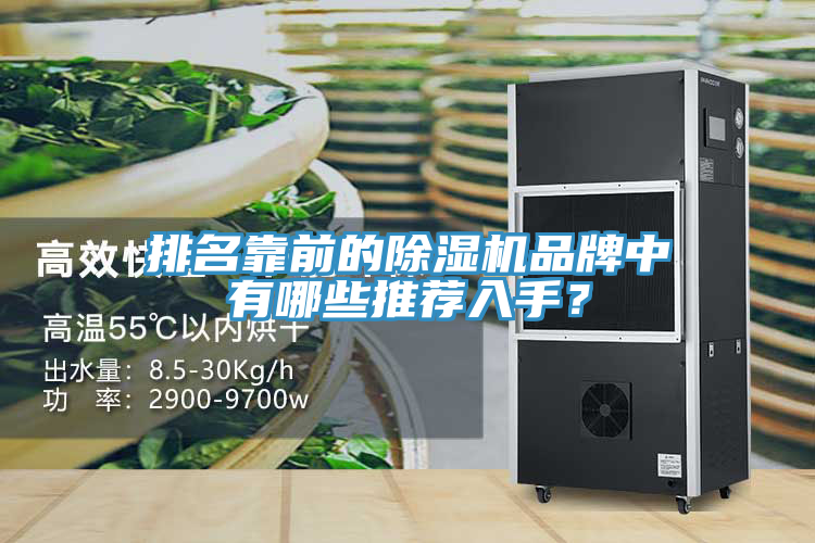排名靠前的除湿机品牌中有哪些推荐入手？