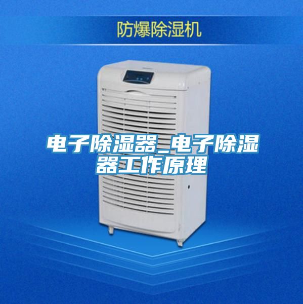 电子除湿器_电子除湿器工作原理