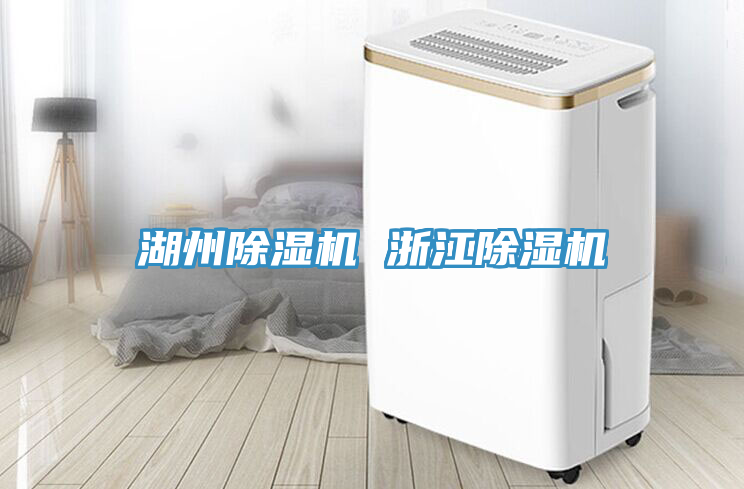 湖州除湿机 浙江除湿机