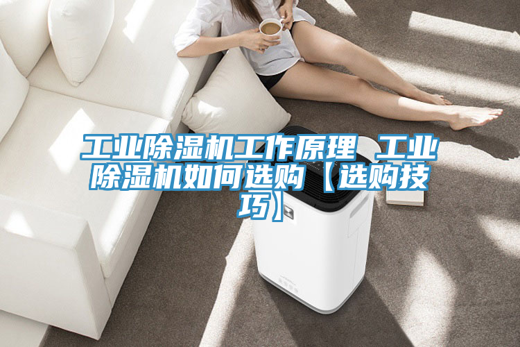 工业除湿机工作原理 工业除湿机如何选购【选购技巧】