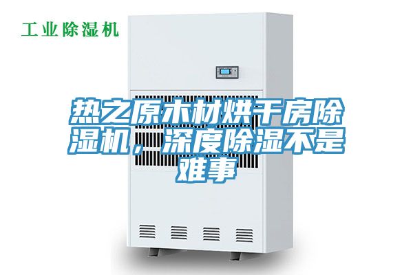 热之原木材烘干房除湿机，深度除湿不是难事