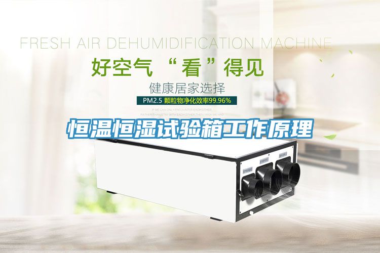 恒温恒湿试验箱工作原理
