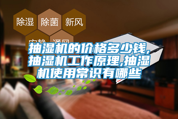 抽湿机的价格多少钱,抽湿机工作原理,抽湿机使用常识有哪些