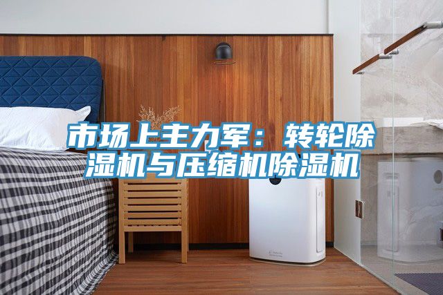 市场上主力军：转轮除湿机与压缩机除湿机