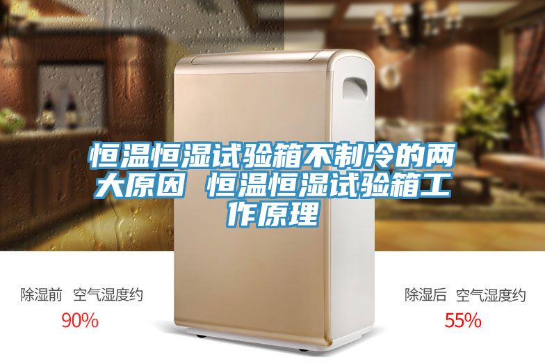 恒温恒湿试验箱不制冷的两大原因 恒温恒湿试验箱工作原理