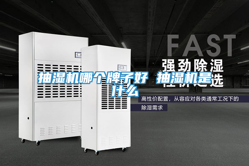 抽湿机哪个牌子好 抽湿机是什么
