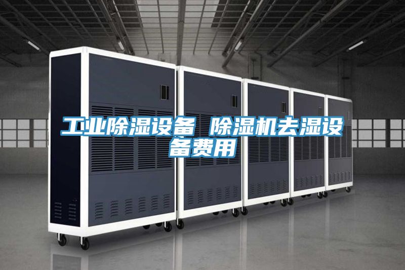 工业除湿设备 除湿机去湿设备费用
