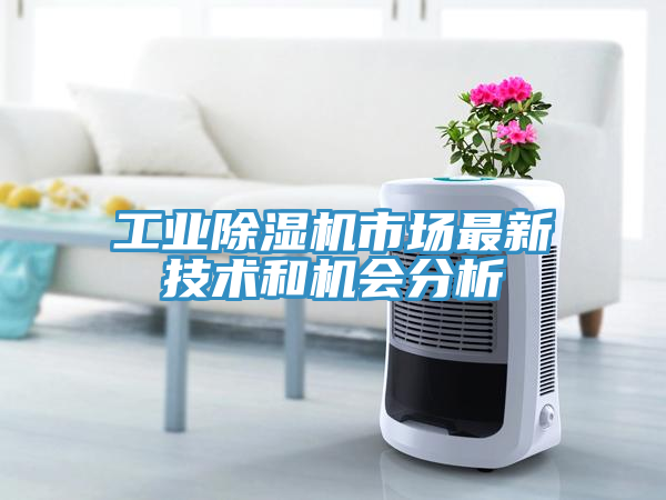 工业除湿机市场最新技术和机会分析