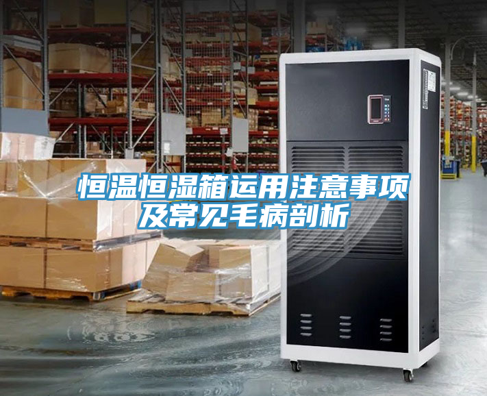恒温恒湿箱运用注意事项及常见毛病剖析