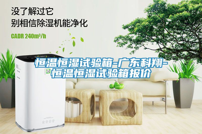 恒温恒湿试验箱-广东科翔-恒温恒湿试验箱报价