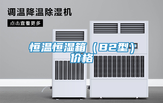 恒温恒湿箱（B2型）价格