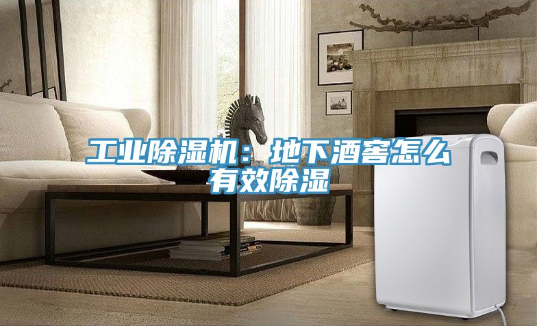 工业除湿机：地下酒窖怎么有效除湿