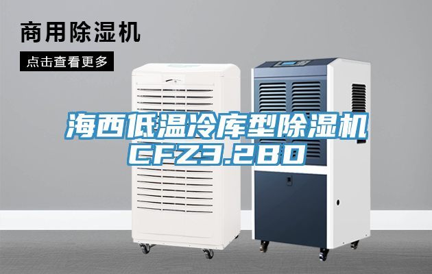 海西低温冷库型除湿机CFZ3.2BD