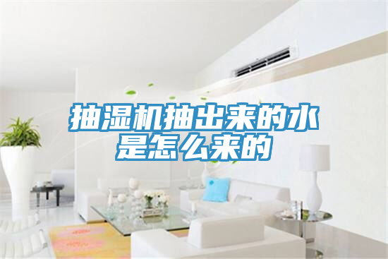 抽湿机抽出来的水是怎么来的