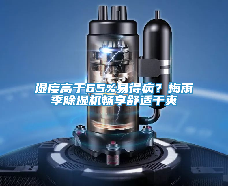 湿度高于65%易得病？梅雨季除湿机畅享舒适干爽