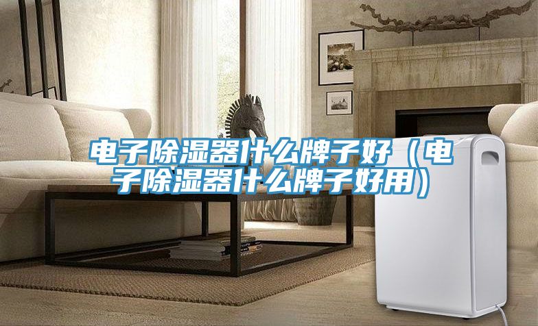 电子除湿器什么牌子好（电子除湿器什么牌子好用）