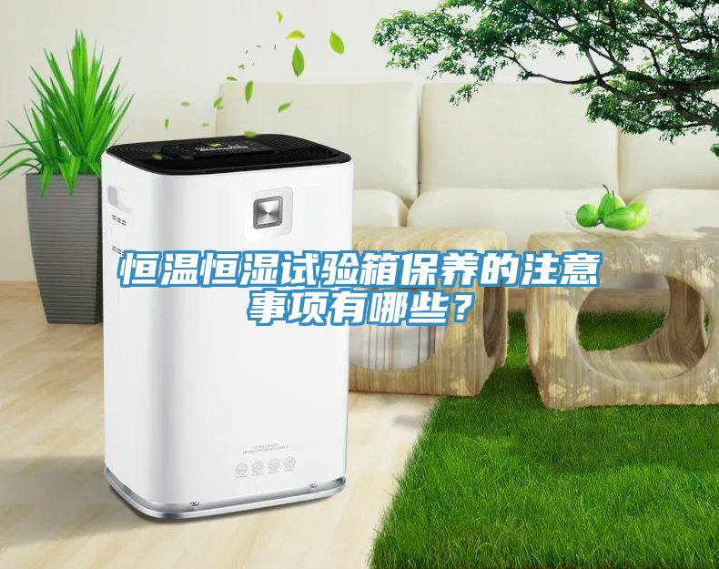 恒温恒湿试验箱保养的注意事项有哪些？