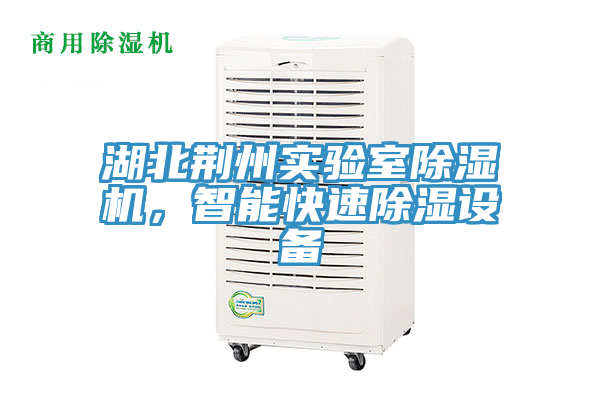 湖北荆州实验室除湿机，智能快速除湿设备