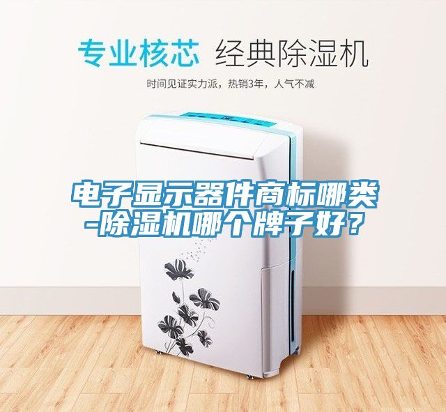 电子显示器件商标哪类-除湿机哪个牌子好？