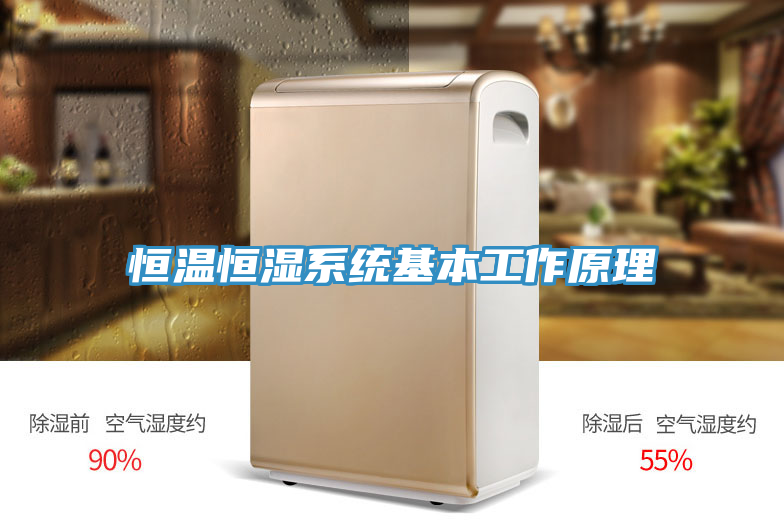 恒温恒湿系统基本工作原理
