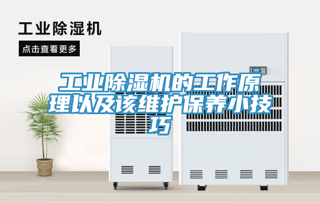 工业除湿机的工作原理以及该维护保养小技巧