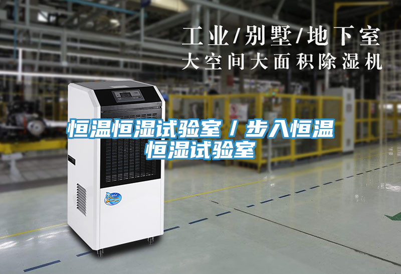 恒温恒湿试验室／步入恒温恒湿试验室