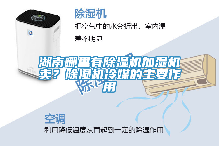 湖南哪里有除湿机加湿机卖？除湿机冷媒的主要作用