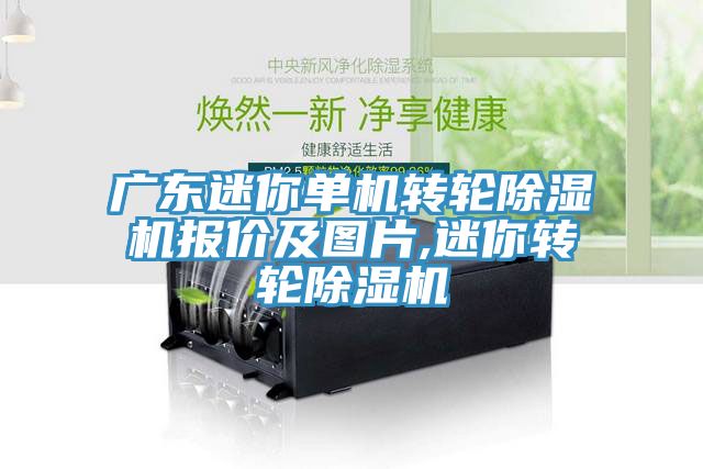 广东迷你单机转轮除湿机报价及图片,迷你转轮除湿机