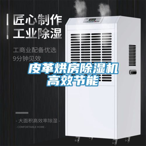 皮革烘房除湿机高效节能