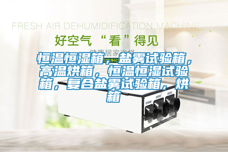 恒温恒湿箱，盐雾试验箱，高温烘箱，恒温恒湿试验箱，复合盐雾试验箱，烘箱