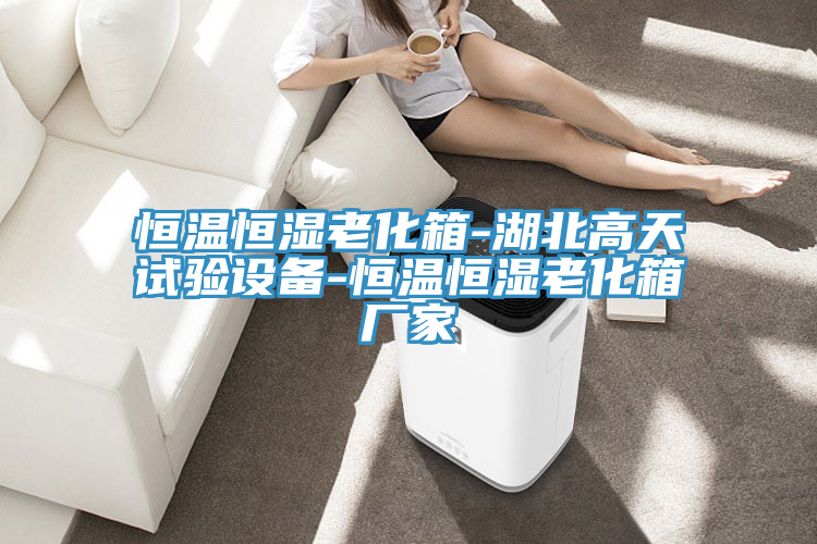 恒温恒湿老化箱-湖北高天试验设备-恒温恒湿老化箱厂家