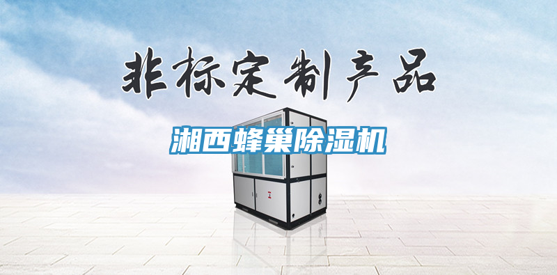 湘西蜂巢除湿机